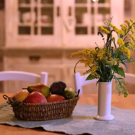 Stone House Pojata Holiday home Starigrad Paklenica
